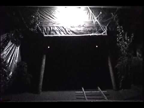 Halloween 2008  'Hagerman Tunnel'