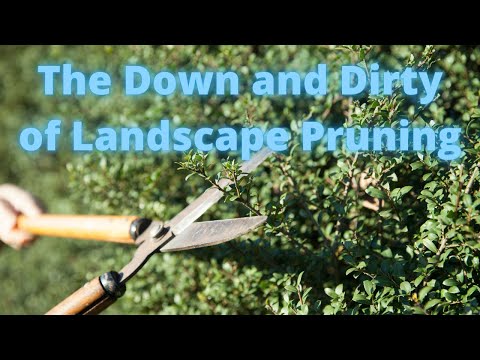 , title : 'Landscape Pruning - The Whys, Whens and The Tools'