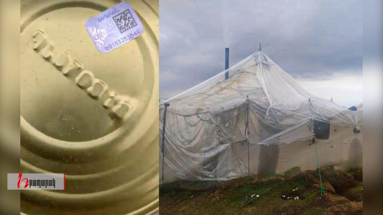 Ելակ, բանակ, «Դելտա» շտամ, Աշոտյանի համապատասխան տեղեր ․«Ֆեյսբուքյան շաբաթ»