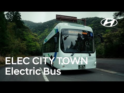 ELEC CITY TOWN Bus | Yakushima Japan