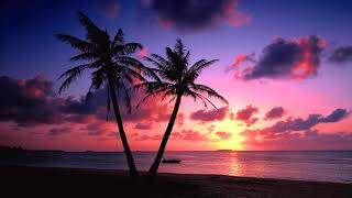 Dionne Warwick - No Night So Long (Subtitles PT/ENG)