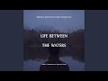 Life Between The Waters