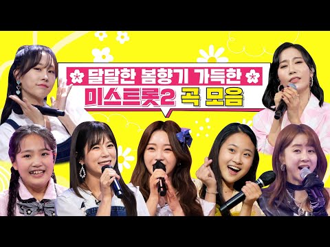 달달한 봄향기 가득한 미스트롯2 곡 모음
