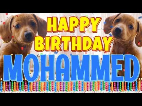 Happy Birthday Mohammed! ( Funny Talking Dogs ) What Is Free On My Birthday