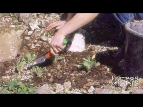 comment construire rocaille