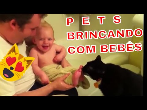 CÃES E GATOS ADORAM BRINCAR COM BEBÊS