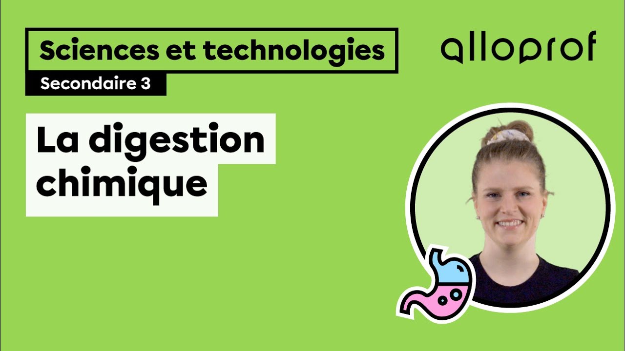La digestion chimique