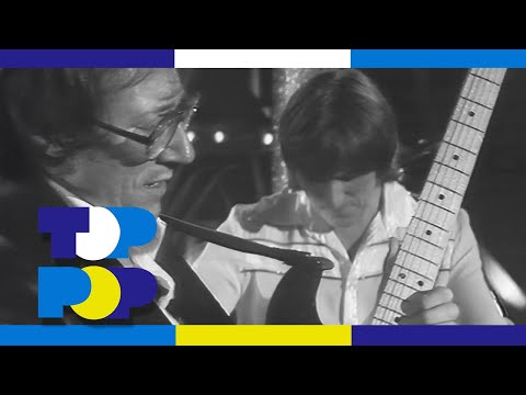 The Shadows - Theme From The 'Deer Hunter' (Cavatina)