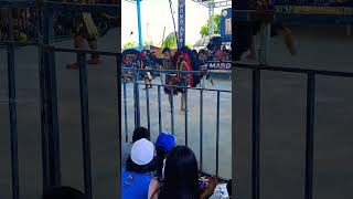 Download lagu kepang6 asri margo budoyo mp3