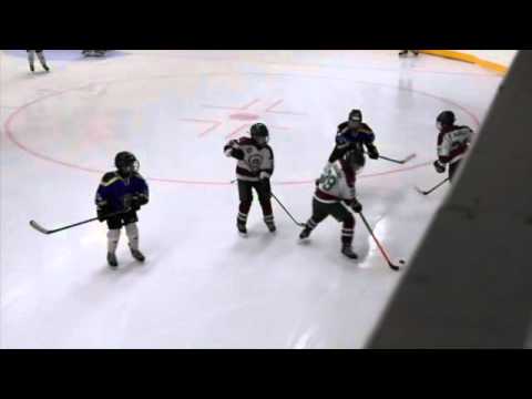 BJR White 2-Ka-Ki Bears 31.1.2016