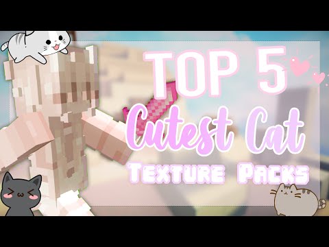 Top 5 CUTEST CAT Texture Packs for pvp (Minecraft)