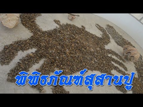 พิพิธภัณฑ์สุสานปูล้านปี
