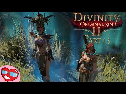 Divinity: Original Sin 2 - Undead, Burning Pigs and Voidwoken! - Part 13 - Let's Play Co-op Gameplay