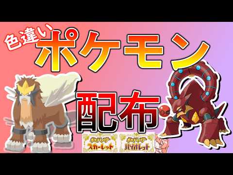 【ポケモンSV】欲しい子を選べる！👑色違い、幻、伝説ポケモン配布！🐈色違いエンテイ、プレシャスボールボルケニオン(ゲッチャレ)、色違いワッカネズミ、色違いポッチャマなど🦕