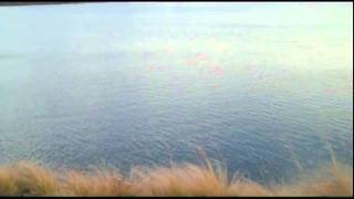 Bask in the Ambience