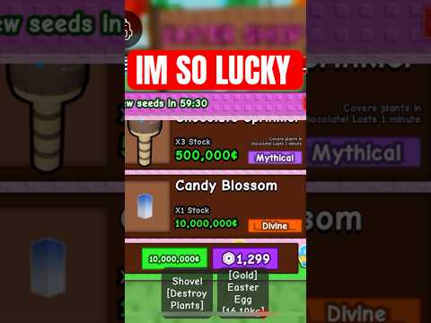 Buying the Divine Candy Blossom 10 million in Grow a Garden Roblox