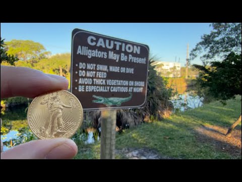 BREAKING: Silver Under Heavy Attack – Chaos Escalates! My Moves NOW LIVE 🚨🪙