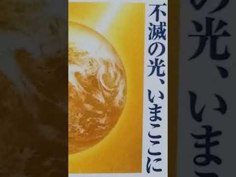 禅庭像 - 永遠の仏陀と東洋の装飾芸術  庭園