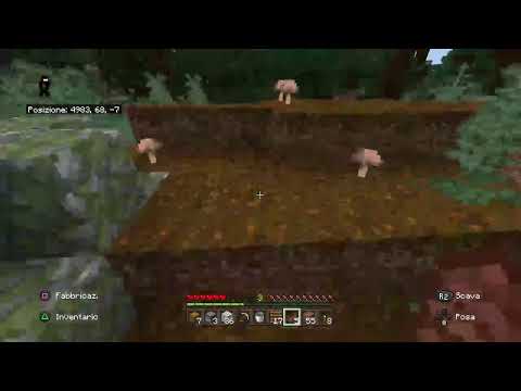 Faccio la mia base segreta nella big vanilla!