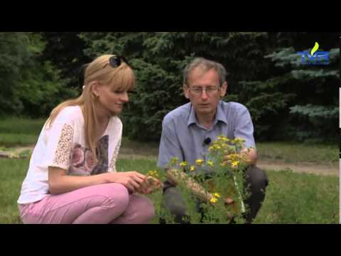 Mleko i impotencja Najlepiej, aby zwiększyć siłę