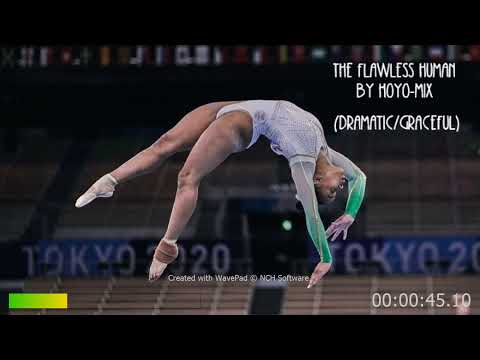 The Flawless Human - by Hoyo-Mix