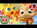 Itsy Bitsy Spider 2025 ️ CoComelon Animal Time Nursery Rhymes And Kids Songs After School Club