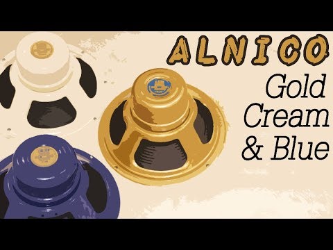 Celestion Alnico Shootout: Gold, Cream & Blue (in Dr Z DB4)