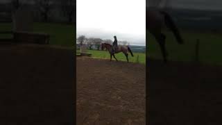 Carrick diamond dancer