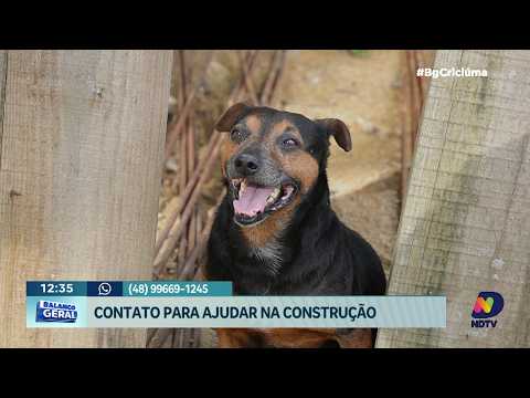 Corrente solidária ajuda abrigo de cães em Tubarão