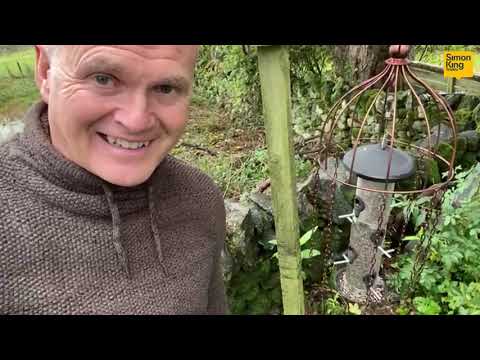 Stop Bigger Birds Clearing Out Your Feeders