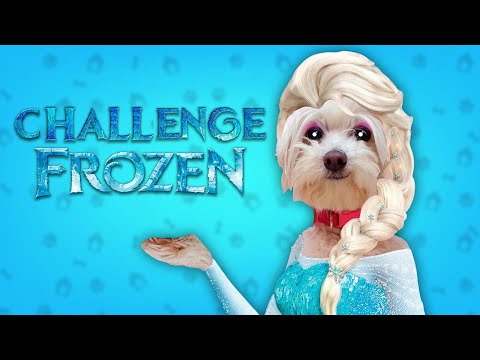 FROZEN CHALLENGE! ❄️Mi Perro ME CONGELA!⛄️🐶 Anima Dogs