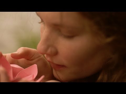 Half Blind - Ye Vagabonds