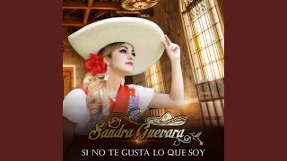 Si No Te Gusta Lo Que Soy