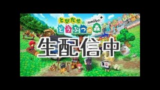俺達いつでもゲームバカ！！【とび森実況】大人枠しっとりと
