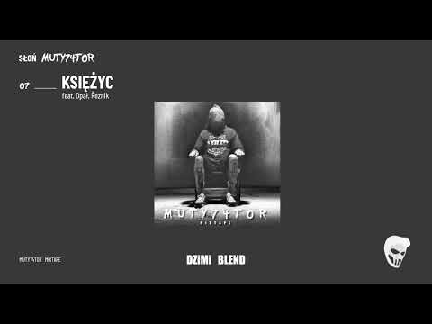Słoń - [07/14] - Księżyc feat. Opał, Řeznik | DZiMi Blend