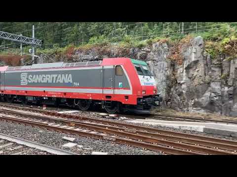 9 agosto, TRENO IN TRANSITO a BIVIO AURISINA (1/2)