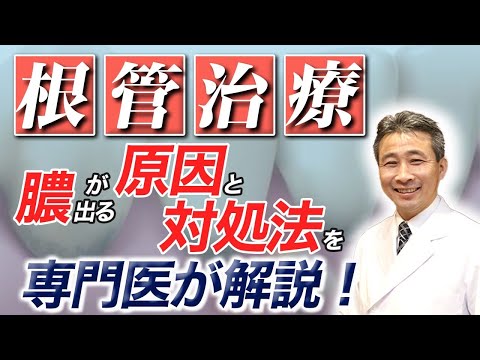歯学科 【放置厳禁】根管治療 膿が出る原因と対処法を徹底解説「歯 精密根管治療」「ヒロ横浜デンタル」
