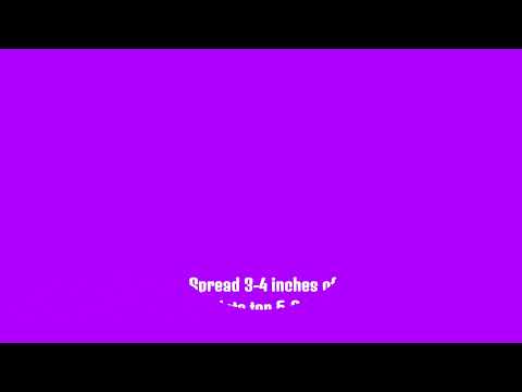 Transform Your Garden: The Secret Power of Mushroom Compost for Clay Soil