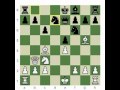 Все, что нужно знать про шахматы. Часть 4 