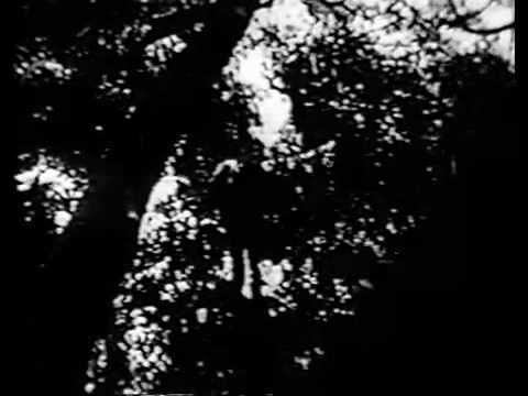 The Cosmic Monsters trailer  1957