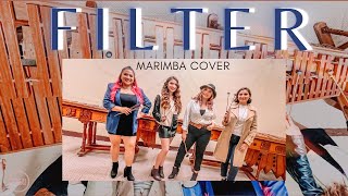 FILTER - BTS JIMIN  Marimba Cover by V4JOR SISTERS