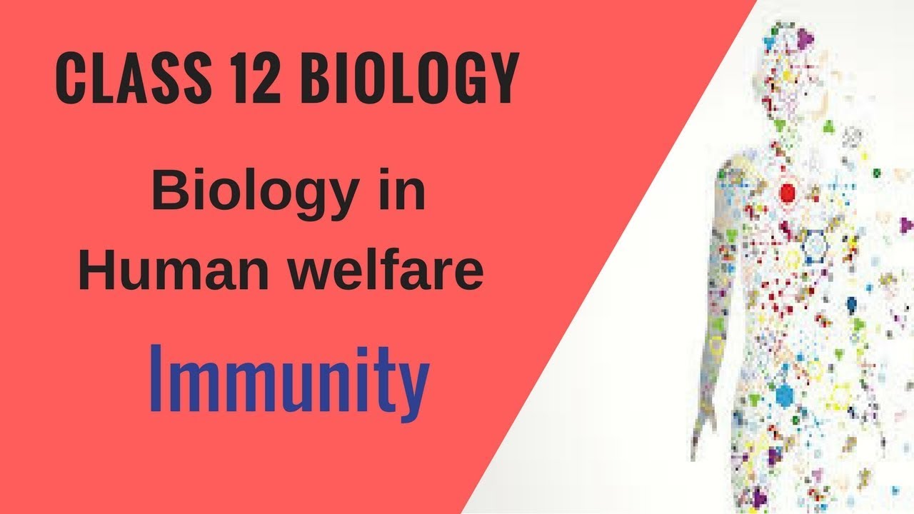Biology in Human welfare For Class 12 - Immunity
