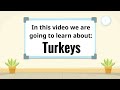 11. Sınıf  İngilizce Dersi  Facts from Turkey Fun facts about turkeys! This turkey learning video for kids is the classroom edition of our Turkeys for Kids video. The classroom ... konu anlatım videosunu izle