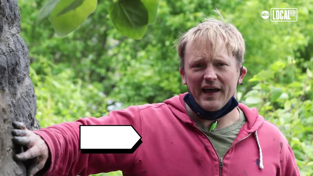 Former graffiti artist restores city architecture with faux paint technique | All Good