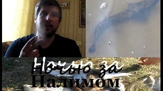 Места для ловли налима на клязьме