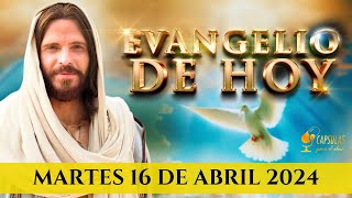 Evangelio de JESÚS Martes 16 de Abril 2024 ✝️ Juan 6,35-40 Jesús el Pan de Vida