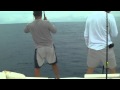 catching a Dolphin on a wreck 