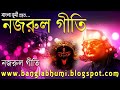 Amay Jara Dey Maa Byatha   Nazrul Shyama Sangeet   Anup Jalota