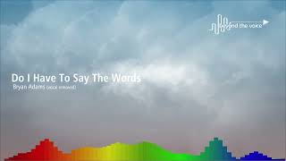 Bryan Adams - Do I Have To Say The Words (vocal removed)