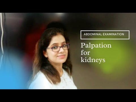 Palpation for kidneys